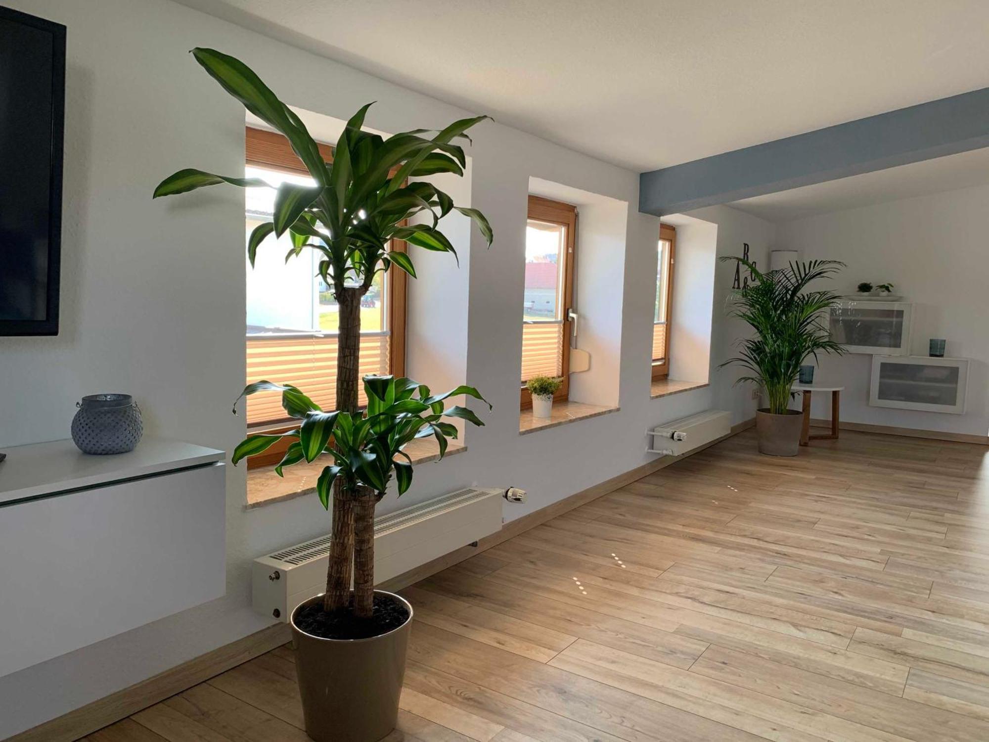 Ferienwohnung In Den Wiesen Albertshausen 외부 사진